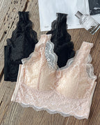 2-Pack Scallop Trim Lace V-Neck Bralette Camisoles