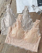 2-Pack Scallop Trim Lace V-Neck Bralette Camisoles