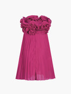 Mesh Rosette Pleated Short Tube Dress