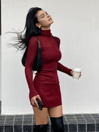 Tulle Panel Sheer Sweater Dress