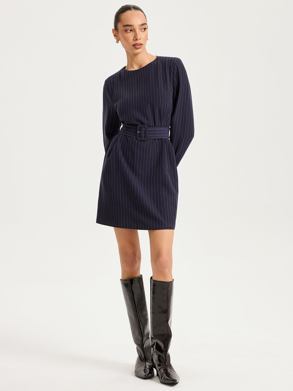 Long Sleeve Pinstripe Dress with Belt Mini Length