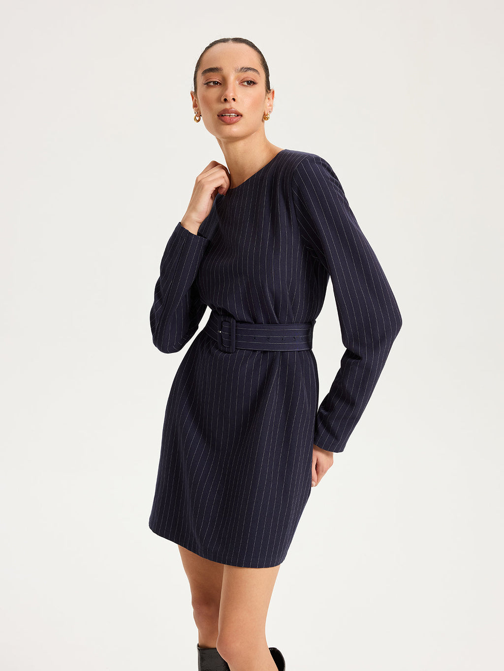 Long Sleeve Pinstripe Dress with Belt Mini Length