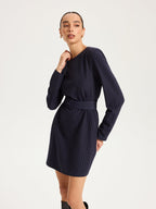 Long Sleeve Pinstripe Dress with Belt Mini Length