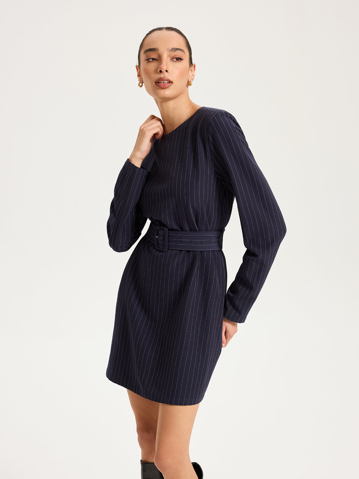 Long Sleeve Pinstripe Dress with Belt Mini Length