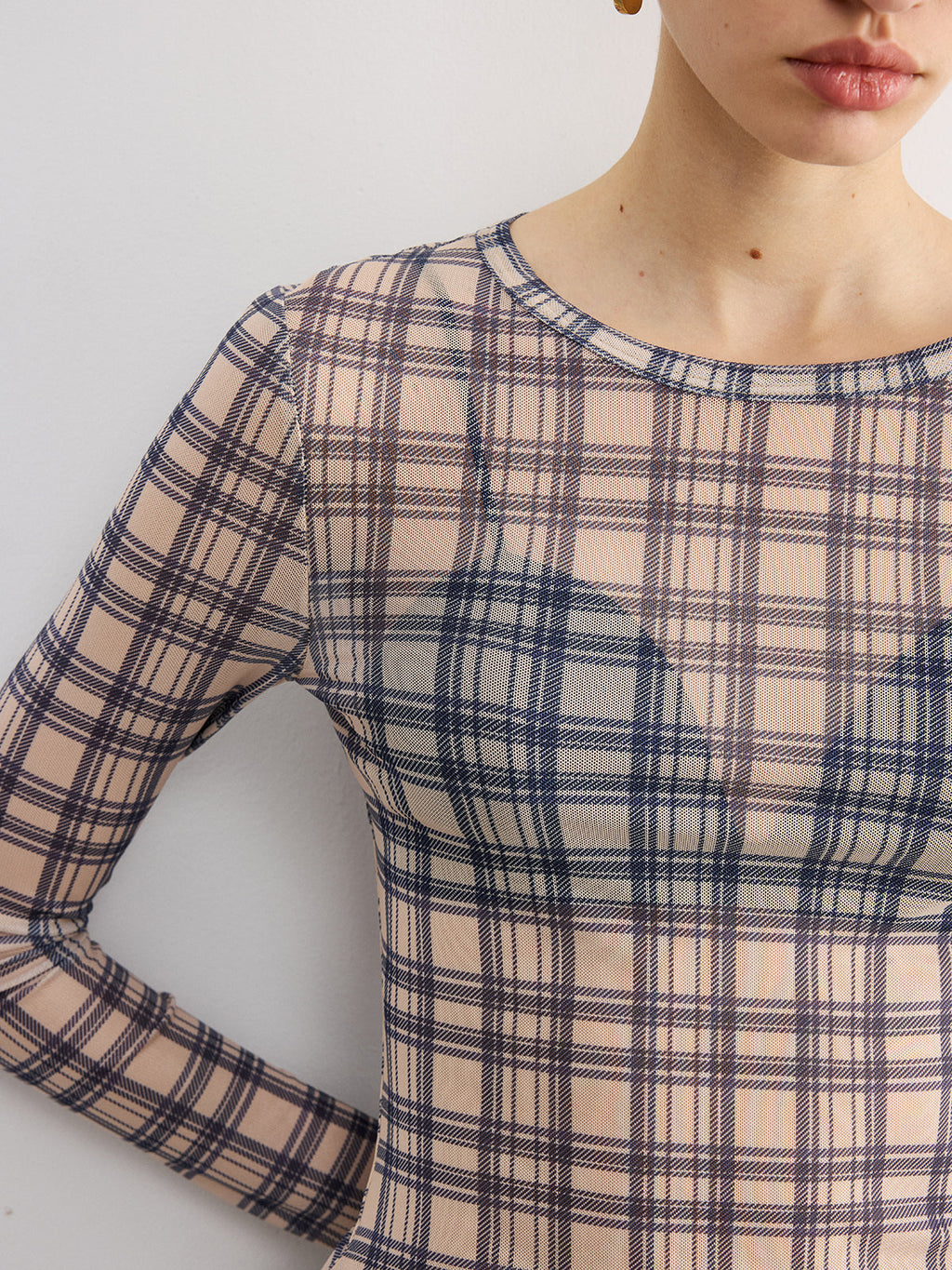 Sheer Plaid Long Sleeve Blouse