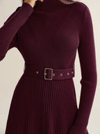 Belted Turtleneck Ribbed Mini Knit Dress
