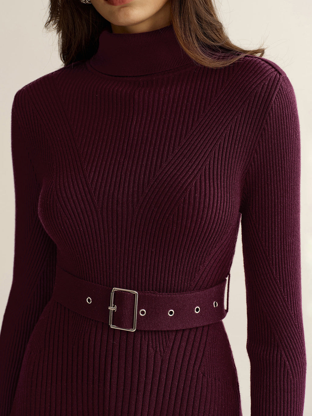 Belted Turtleneck Ribbed Mini Knit Dress