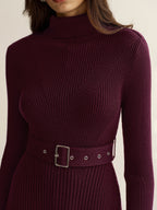 Belted Turtleneck Ribbed Mini Knit Dress
