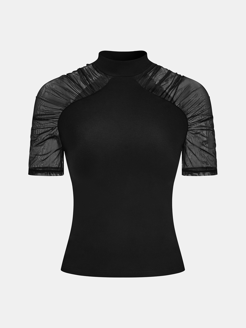 Mock Neck Top with Sheer Mesh Sleeves