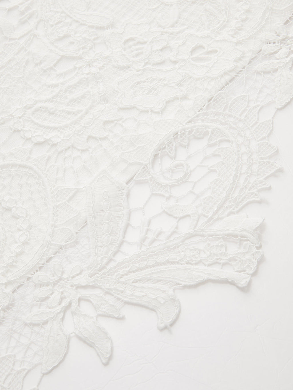 Cotton Short Sleeve Top with Lace Back Detail