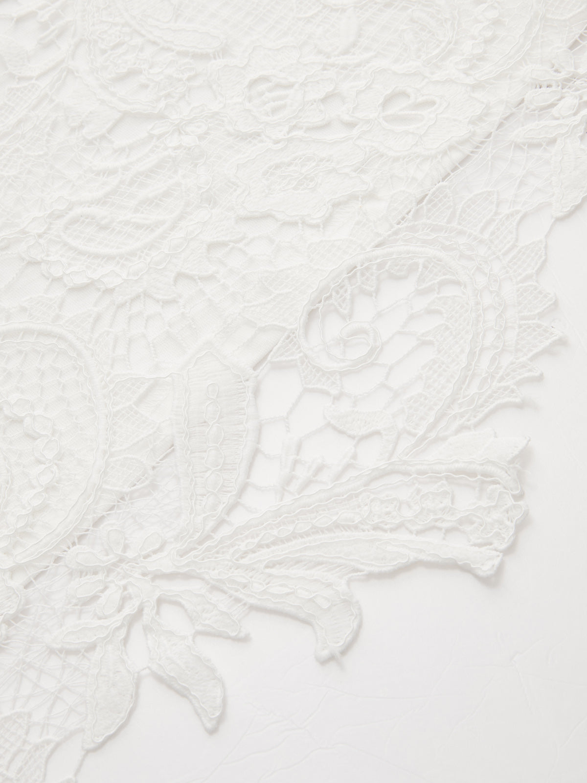 Cotton Short Sleeve Top with Lace Back Detail