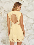 Lace and Linen Backless Mini Dress